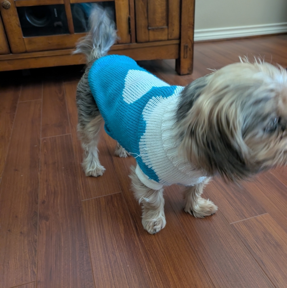 Blue and White Heart Dog Sweater - S/M